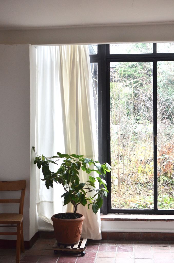 Beyond Financial Metrics: Assessing Environmental and Social Impact on Valuations