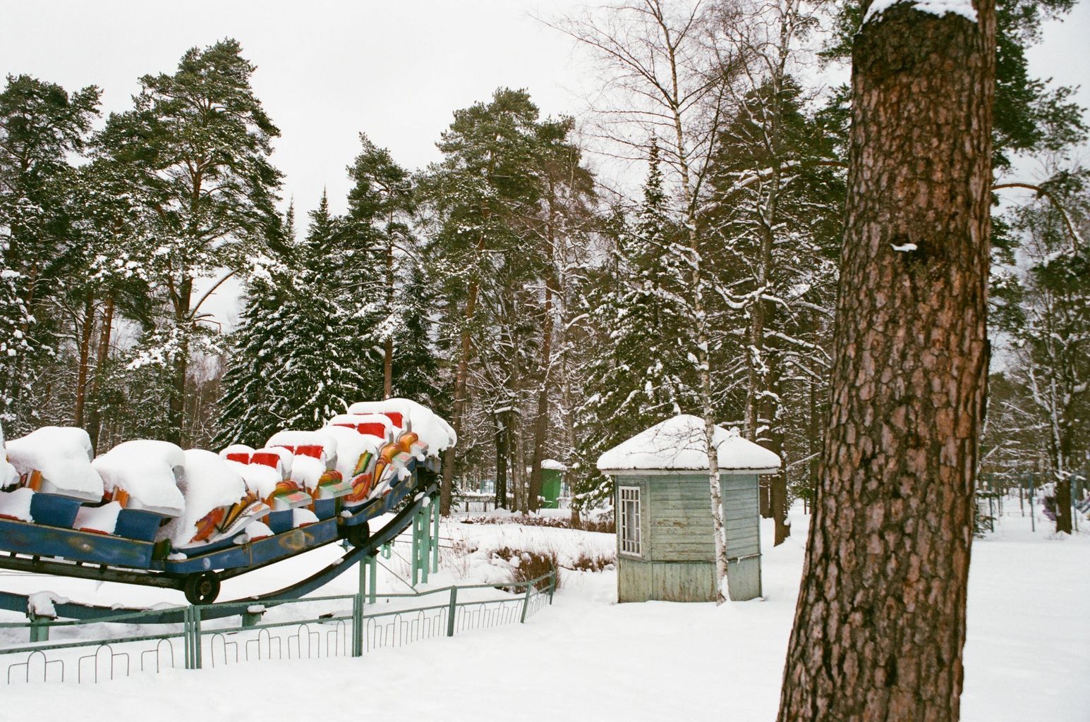 Exploring the Role of Market Multiples in Company Valuations