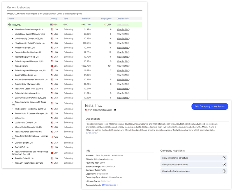 Ownership structure visualization showing corporate hierarchy and subsidiaries